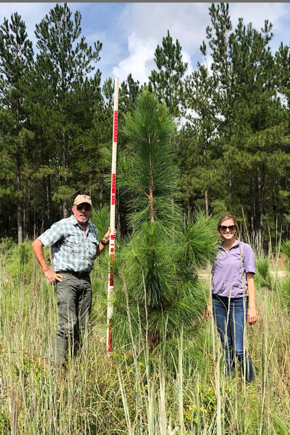 September-1-mobile – ArborGen Tree Seedlings